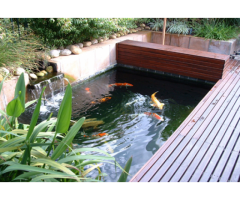 FOR ALL YOUR POND, TANK AND WATER FEATURE REQUIREMENTS