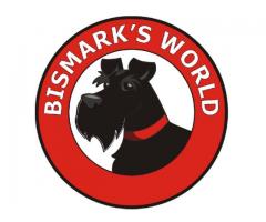 Dog poop scoop by Bismark's World