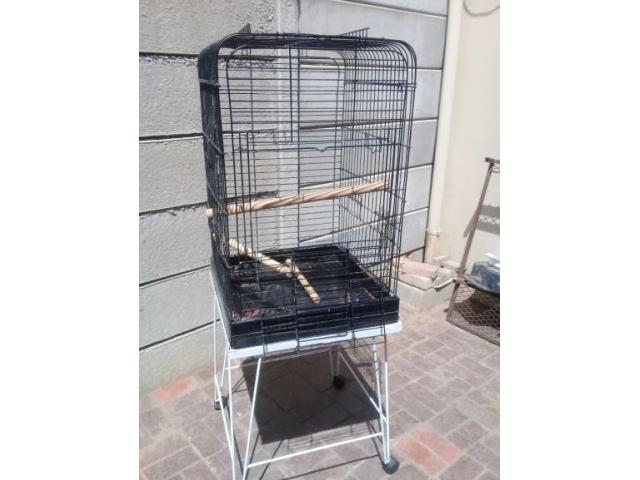 Bird / Parrot cage with stand