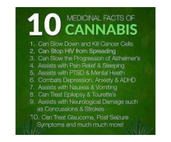 Medical Cannabis Products for Health problems