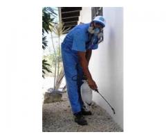 Pest Control, Fumigation And Rodent Control Services