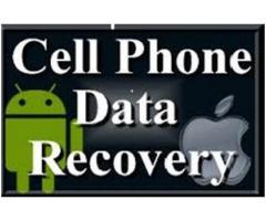 Cell phone data retrieval services call +27630186677