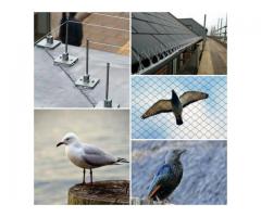 Eco Slayer Cape Town - Pest and Bird Control Solutions