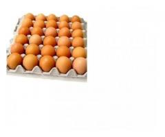 Eggs, Oil and Long Life Milk in Bulk to you. Best Prices