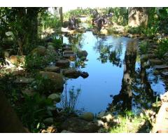 FOR ALL YOUR POND, TANK AND WATER FEATURE REQUIREMENTS