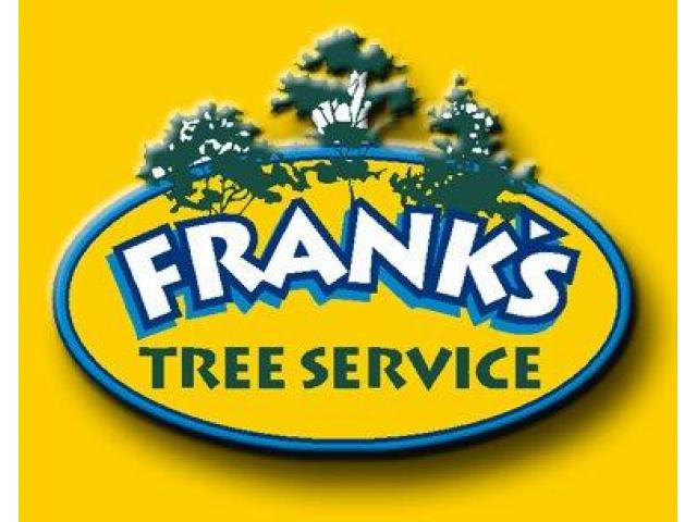 Call Frank on 083 333 5158 for fully insured tree felling franschhoek