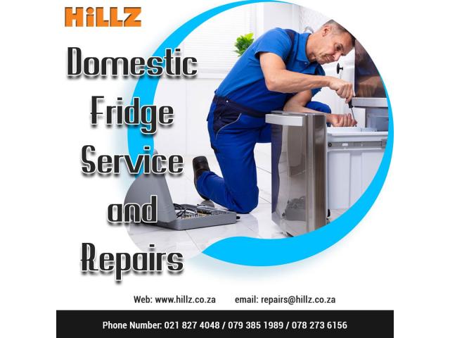 Domestic fridge repair service in Cape Town | Hillz Refrigeration