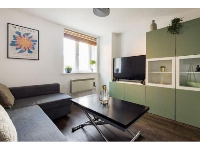 Beautiful One Bedroom Apartment To Rent In Rosebank